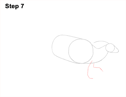 How to Draw a Parasaurolophus Dinosaur 7