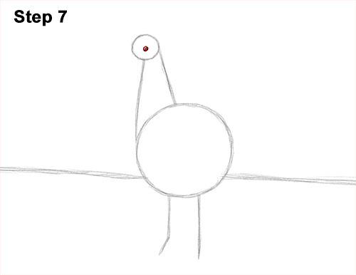 Draw Peacock Bird Tail Fan 7 How to Draw Peacock Bird Tail Train Feathers Color 7