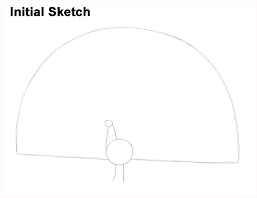 Draw Peacock Bird Tail Fan Sketch How to Draw Peacock Bird Tail Train Feathers Color Initial Sketch