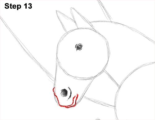 Draw Pegasus Horse Wings 13