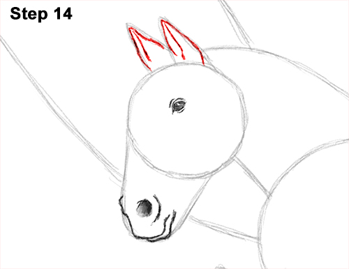 Draw Pegasus Horse Wings 14