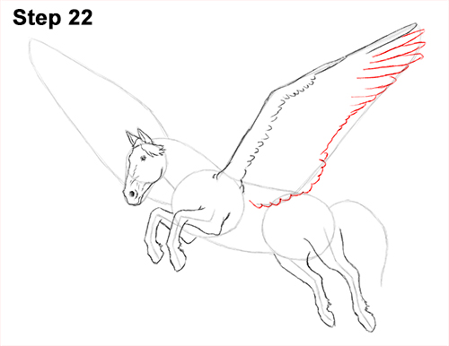 Draw Pegasus Horse Wings 22