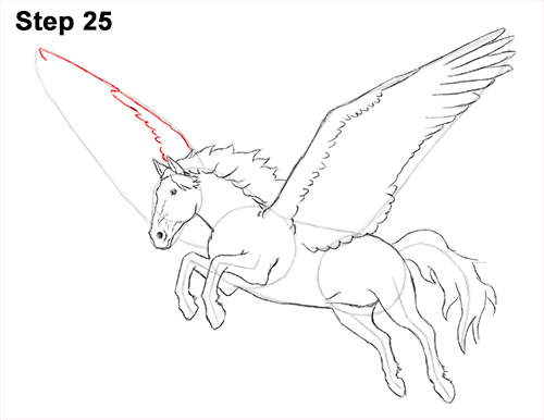 Pegasus Drawing 25 Draw Pegasus Horse Wings 25