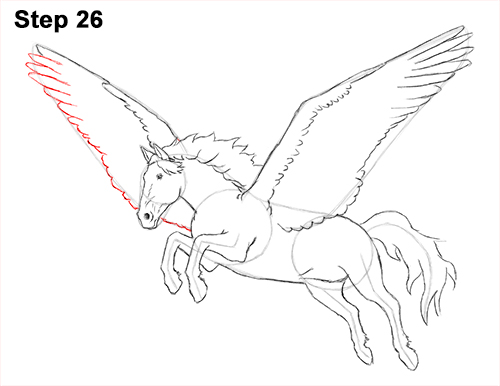 Pegasus Drawing 26 Draw Pegasus Horse Wings 26