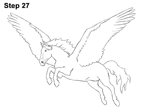 Pegasus Drawing 27 Draw Pegasus Horse Wings 27