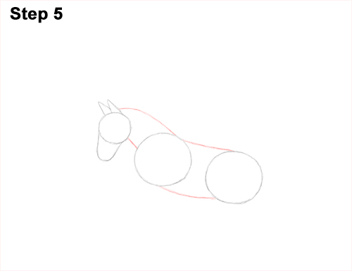 Pegasus Drawing 5 Draw Pegasus Horse Wings 5