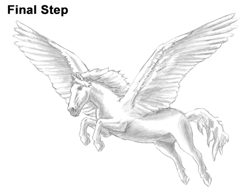 Pegasus Drawing Draw Pegasus Horse Wings