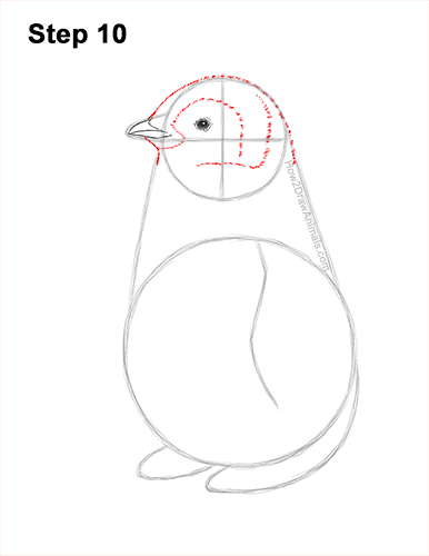 How to Draw a Cute Emperor Penguin Baby Chick 10