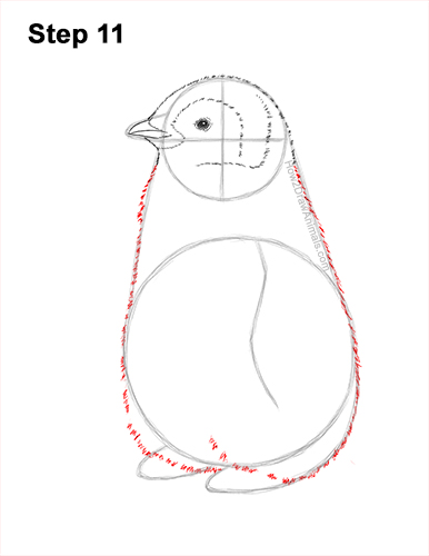 How to Draw a Cute Emperor Penguin Baby Chick 11
