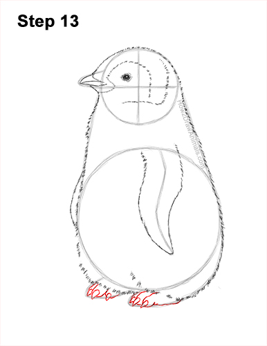 How to Draw a Cute Emperor Penguin Baby Chick 13