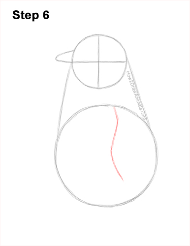 Draw a Emperor Penguin Baby Chick 6 How to Draw a Cute Emperor Penguin Baby Chick 6