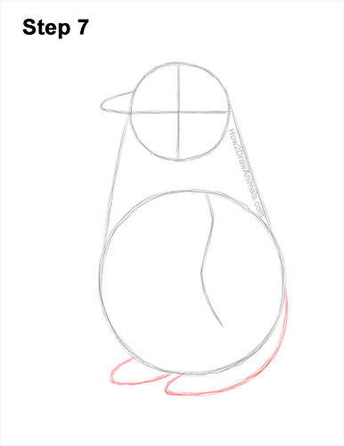 Draw a Emperor Penguin Baby Chick 7 How to Draw a Cute Emperor Penguin Baby Chick 7