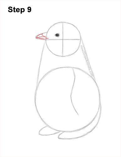 Draw a Emperor Penguin Baby Chick 9 How to Draw a Cute Emperor Penguin Baby Chick 9