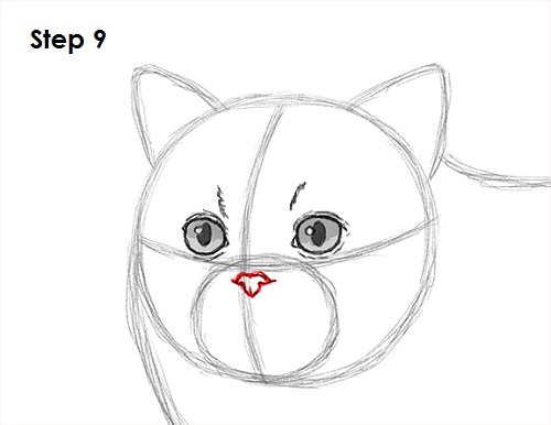 Draw Persian Cat 9