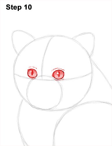 Draw Persian Kitty Cat 10