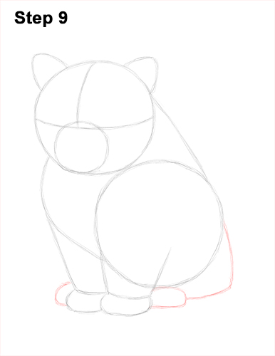 Draw Persian Kitty Cat 9
