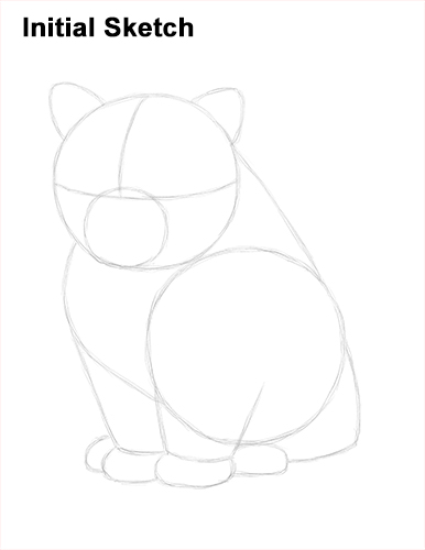 Draw Persian Kitty Cat Initial Sketch