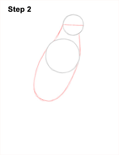 How to Draw a Philippine Eagle Bird Side View 2