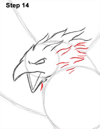 Draw Phoenix 14