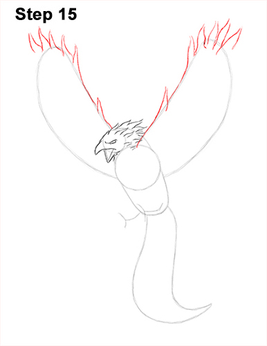 Draw Phoenix 15