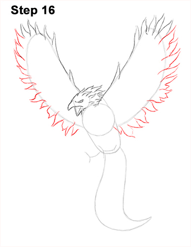Draw Phoenix 16