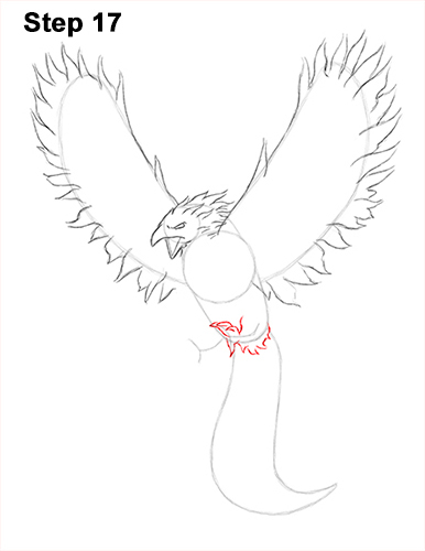 Draw Phoenix 17