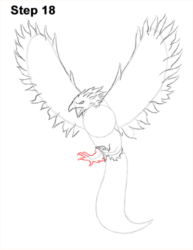 Draw Phoenix 18