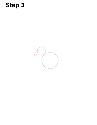 Draw Phoenix 3