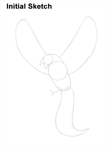 Draw Phoenix Sketch