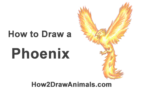 How to Draw a Phoenix