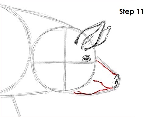 Draw Pig 11