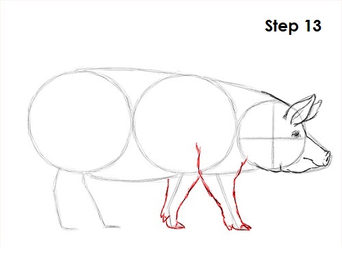 Draw Pig 13