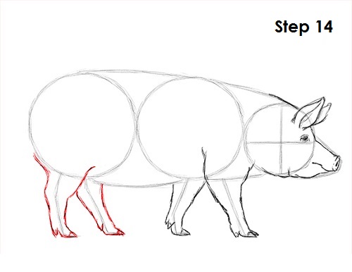 Draw Pig 14