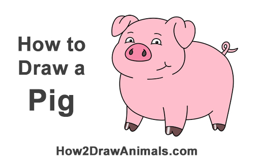 Draw a Cartoon Pig How to Draw a Cute Little Mini Funny Cartoon Pig Piglet