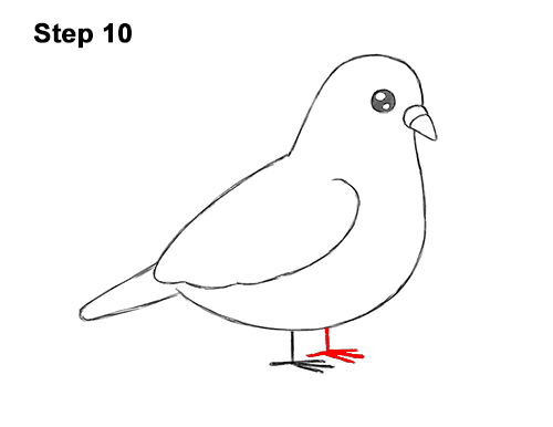 Draw a Cartoon Pigeon Bird 10 How to Draw Cute Cartoon Pigeon 10