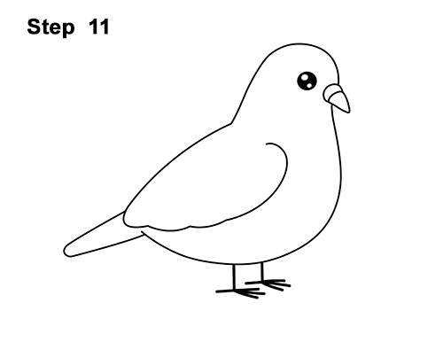 How to Draw Cute Cartoon Pigeon 11