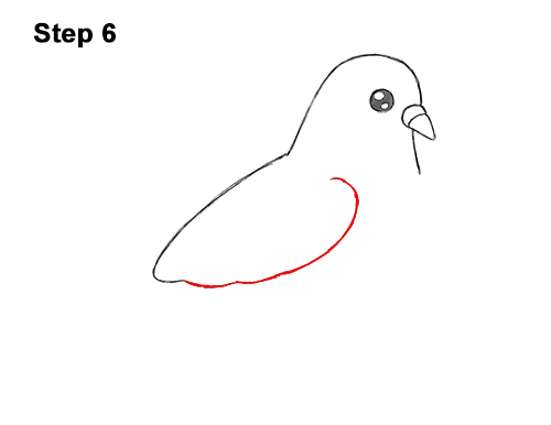Draw a Cartoon Pigeon Bird 6 How to Draw Cute Cartoon Pigeon 6