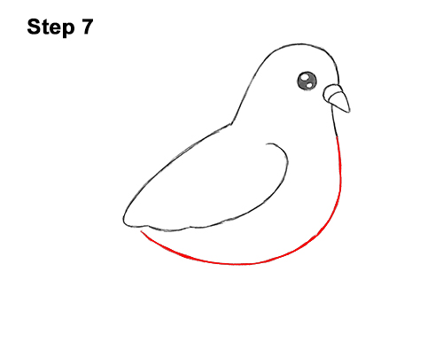 Draw a Cartoon Pigeon Bird 7 How to Draw Cute Cartoon Pigeon 7