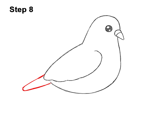 Draw a Cartoon Pigeon Bird 8 How to Draw Cute Cartoon Pigeon 8