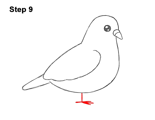Draw a Cartoon Pigeon Bird 9 How to Draw Cute Cartoon Pigeon 9