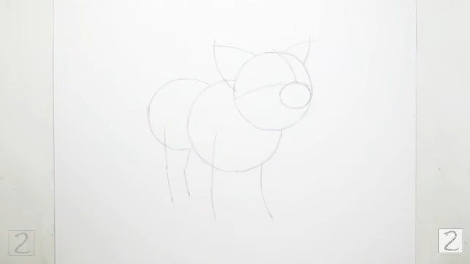 How to Draw Pig Guidelines