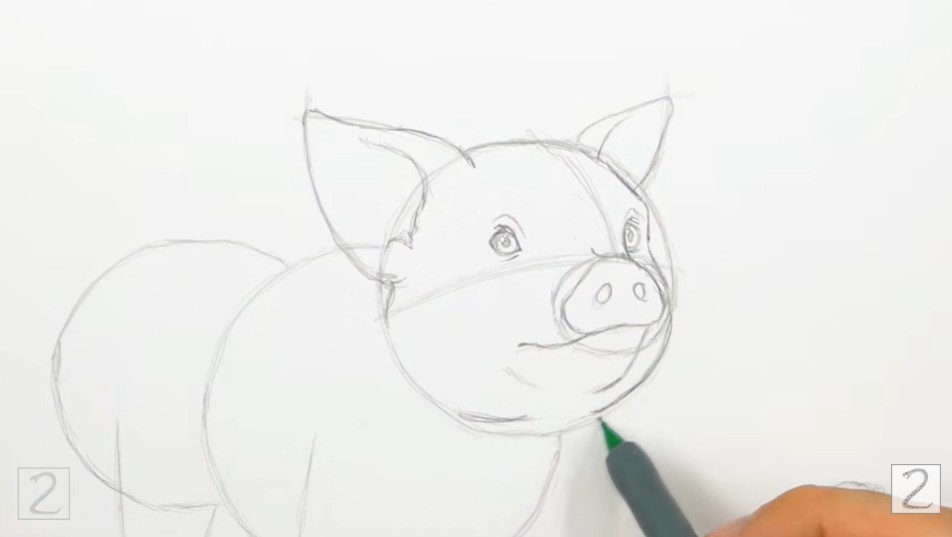 How to Draw Pig Facial Features