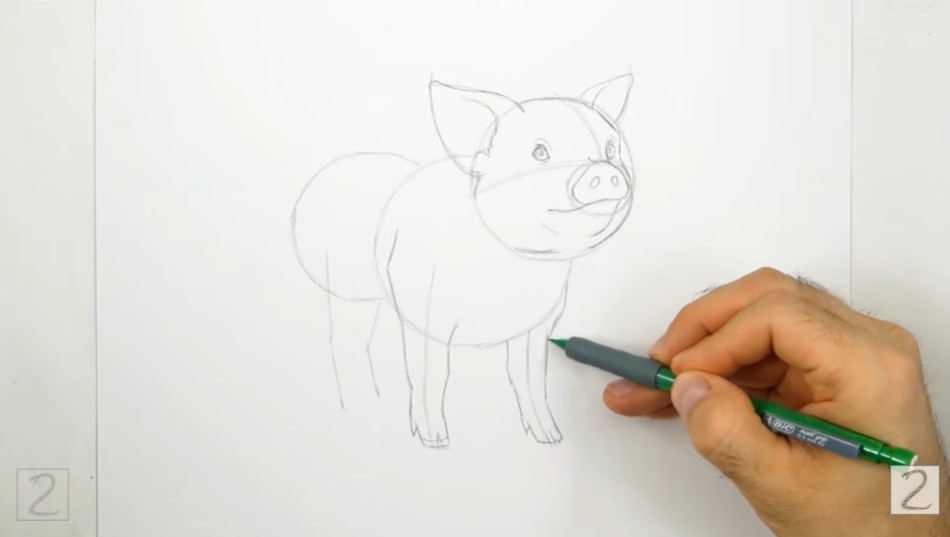 How to Draw Pig Front Legs