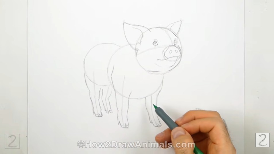 How to Draw Pig Back Legs
