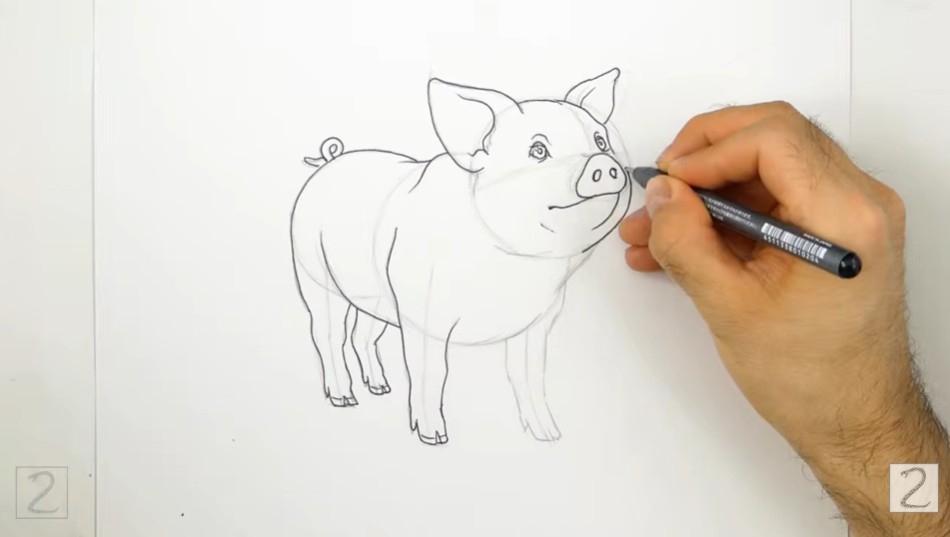 How to Ink Pig Drawing