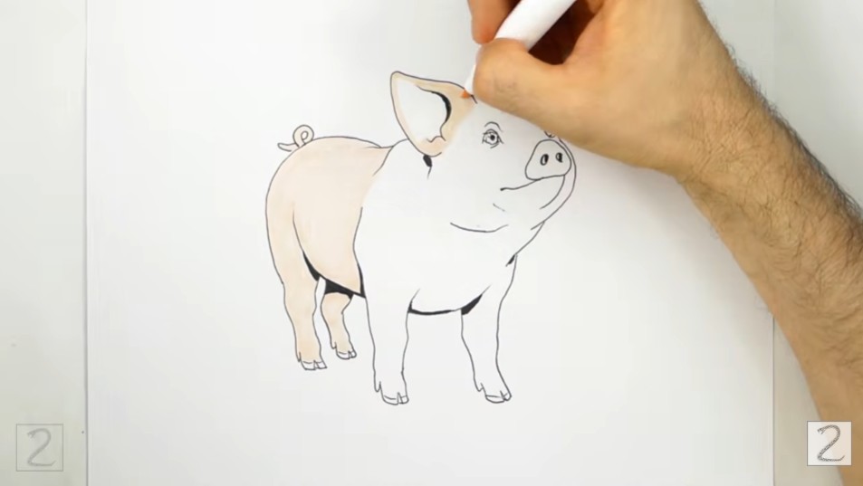 How to Color Pig Base Coat