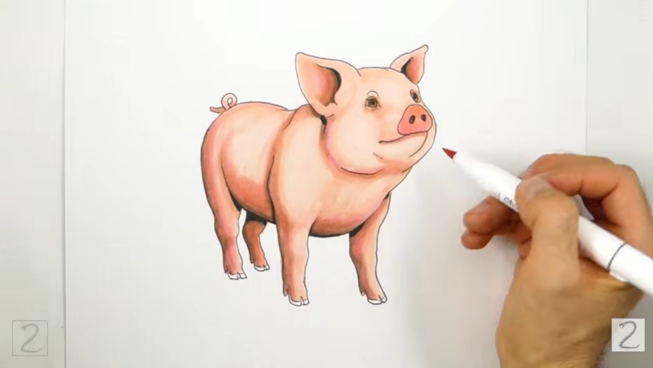 How to Shade Pig Drawing