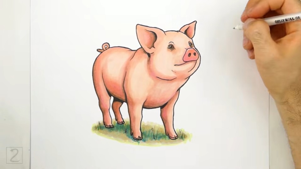 How to Draw Grass and Refine Lines on Pig