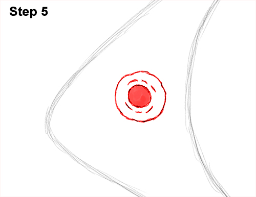 Piranha Drawing 5 Draw Piranha Fish 5