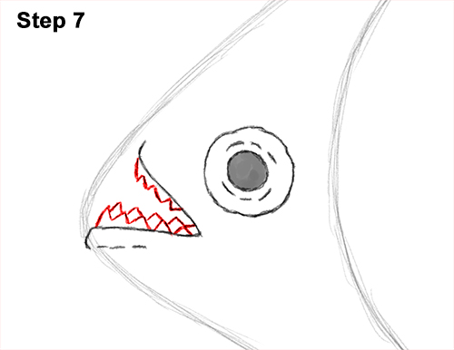 Piranha Drawing 7 Draw Piranha Fish 7